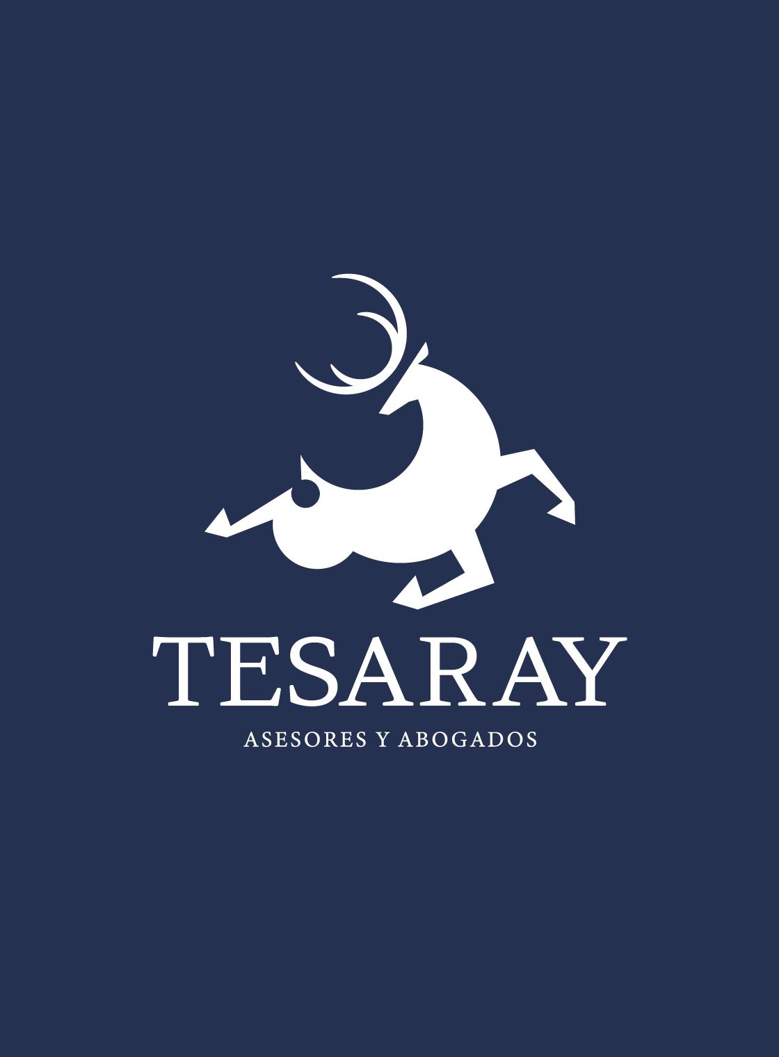 TESARAY_HEY-WIDO-STUDIO_02